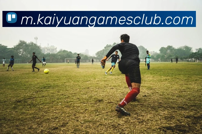 数据防护可视化